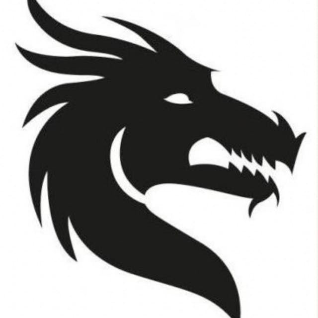Profile picture of The Ring Dragon